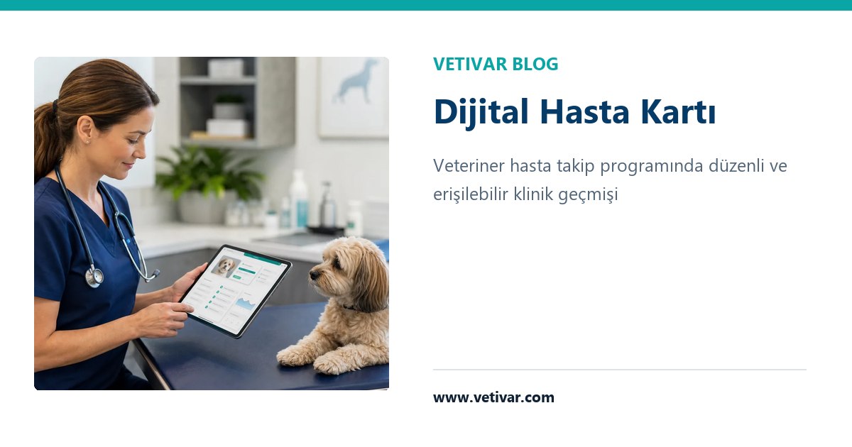 VETIVAR dijital hasta kartı ve veteriner hasta takip programı rehberi